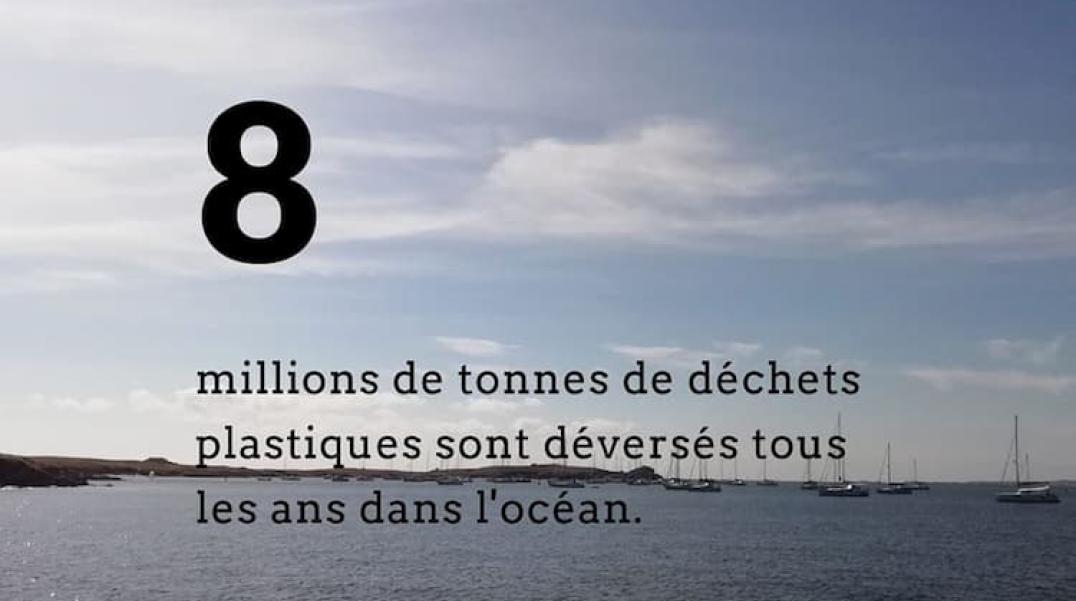 EM'vironment 2019-2020