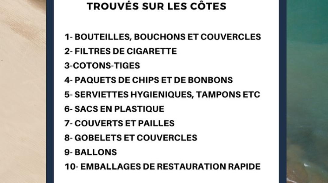 EM'vironment 2019-2020 (2)