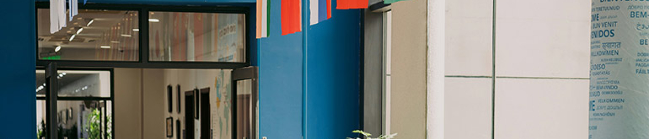 Expérience Internationale