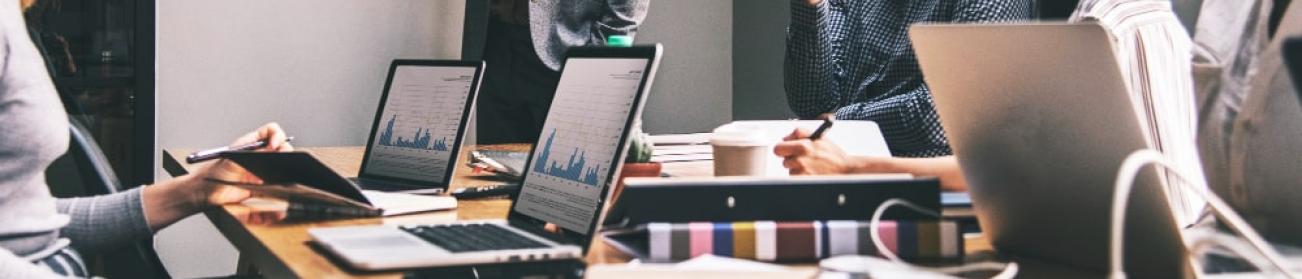 Management career opportunities