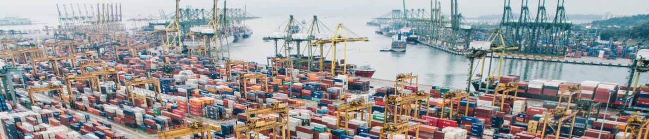 Port Management courses