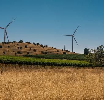 Développement Durable