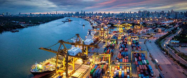 Career opportunities in international trade